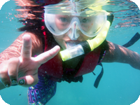 Snorkeling on Koh Nangyuan