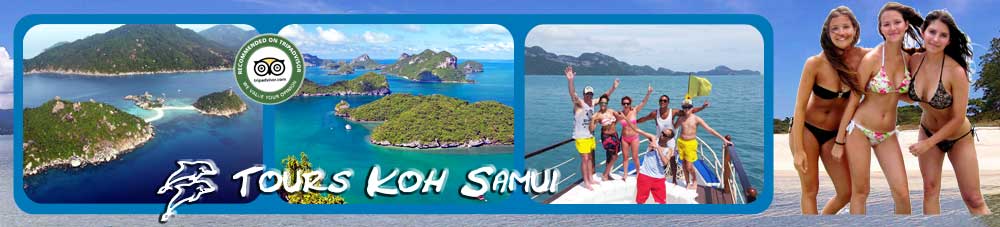 Tours Koh Samui Banner